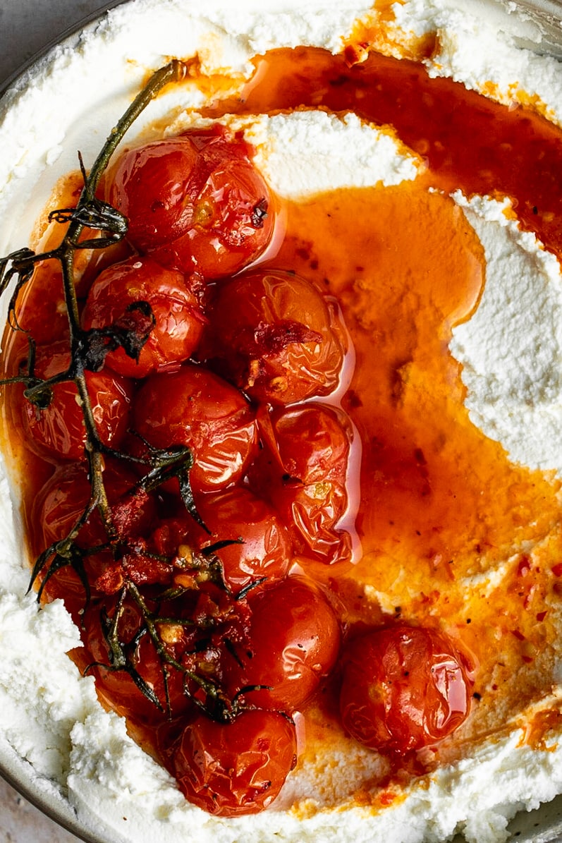 close up of harissa roasted tomatoes over labneh