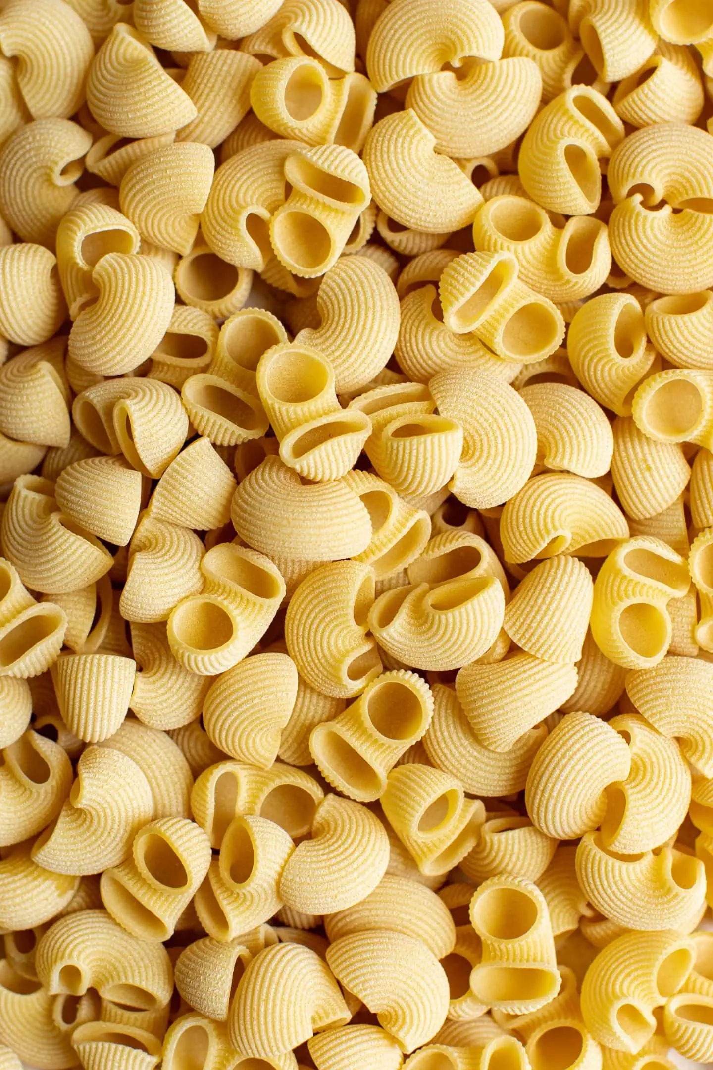 macro image of dried pasta