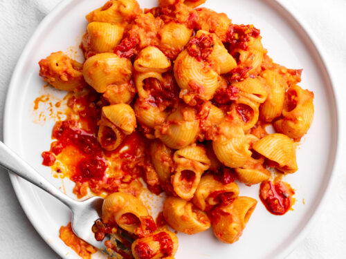 Spicy Vodka Rigatoni - The Bold Appetite
