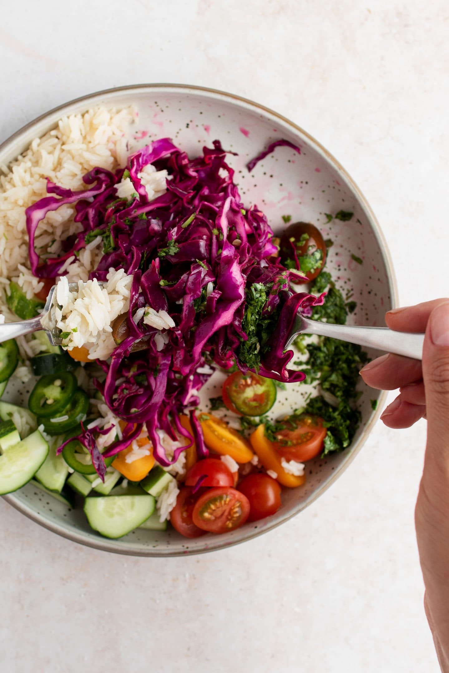 Pickled Red Cabbage Salad The Bold Appetite