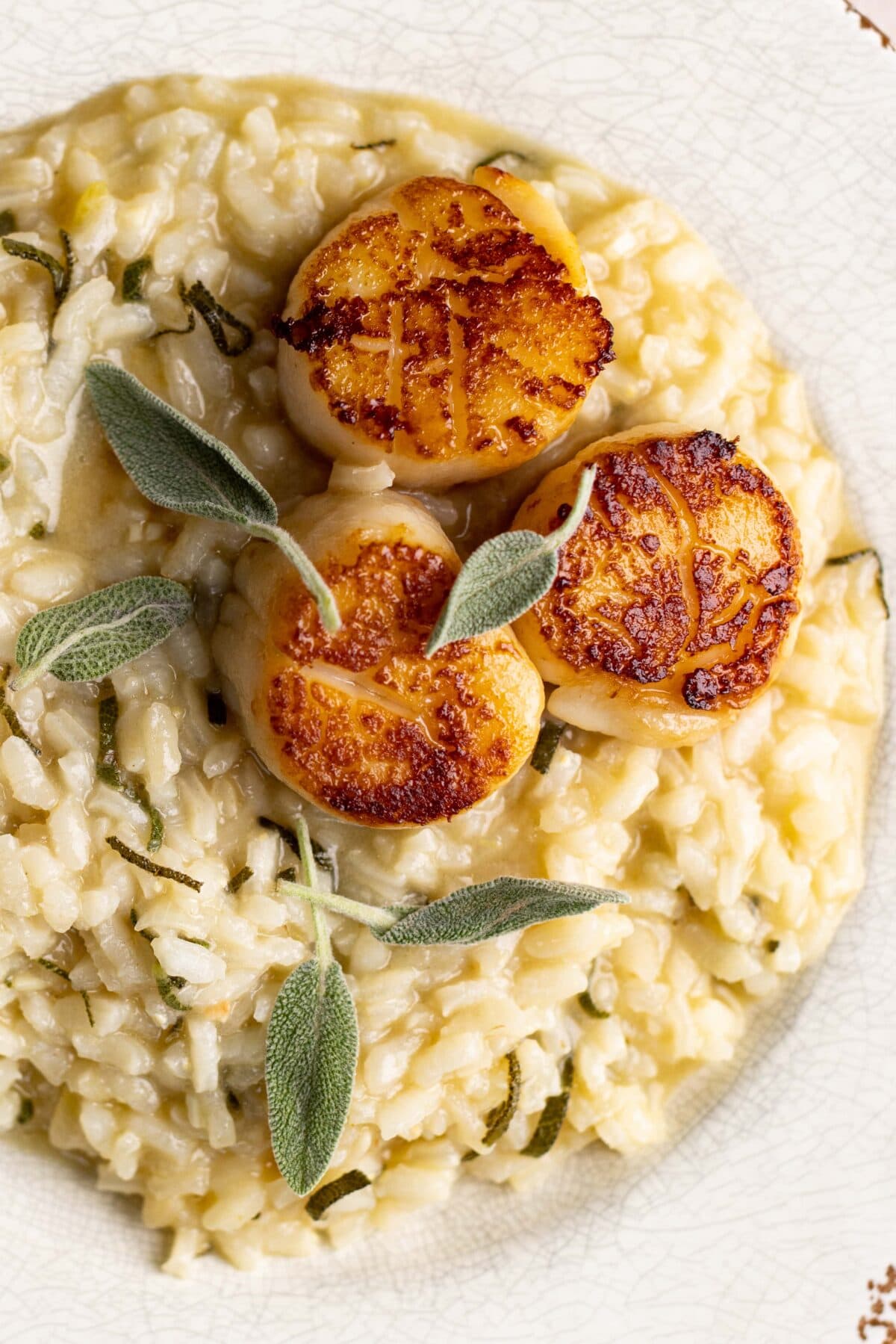 Brown Butter and Sage Risotto