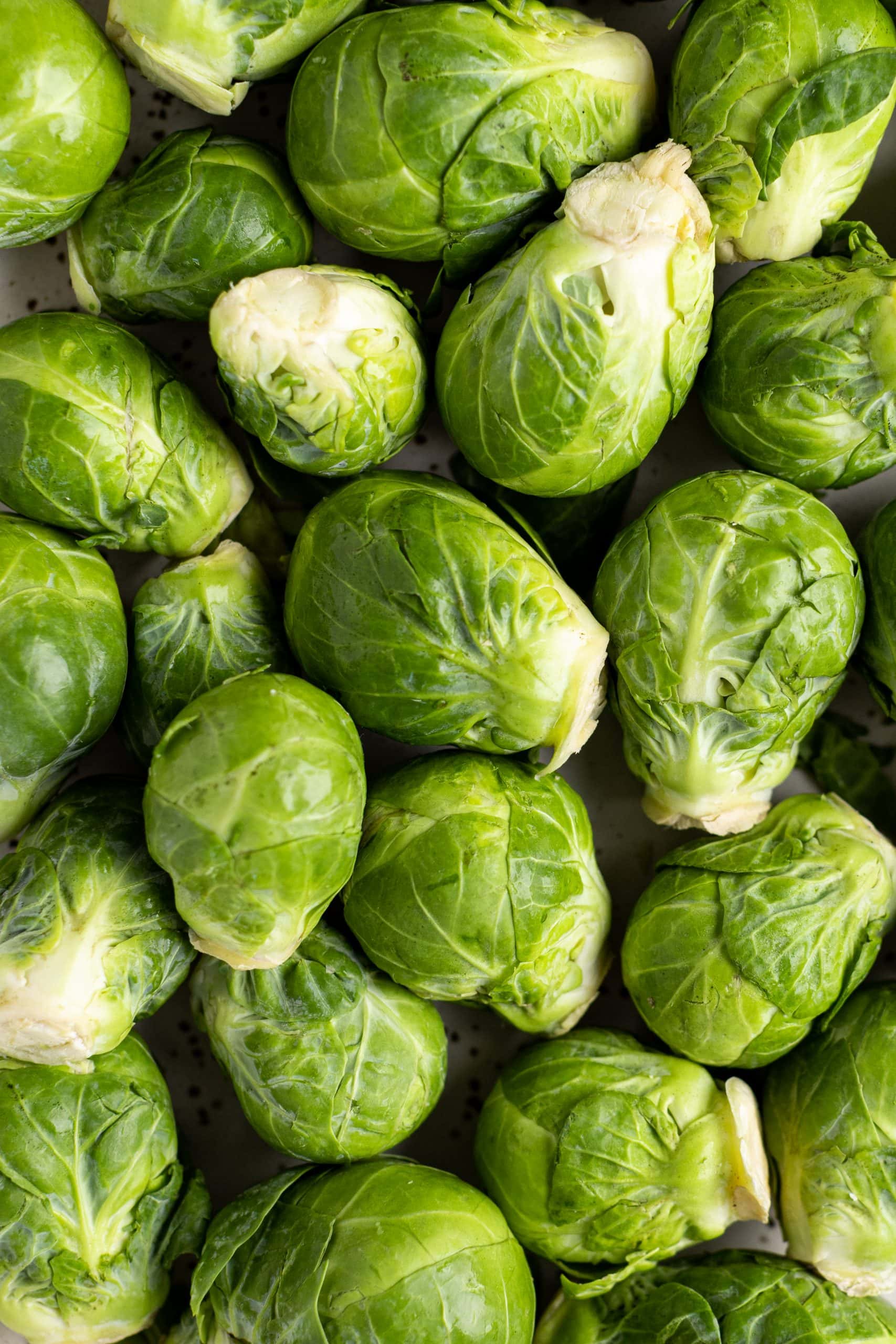 Honey Pancetta Brussels Sprouts The Bold Appetite
