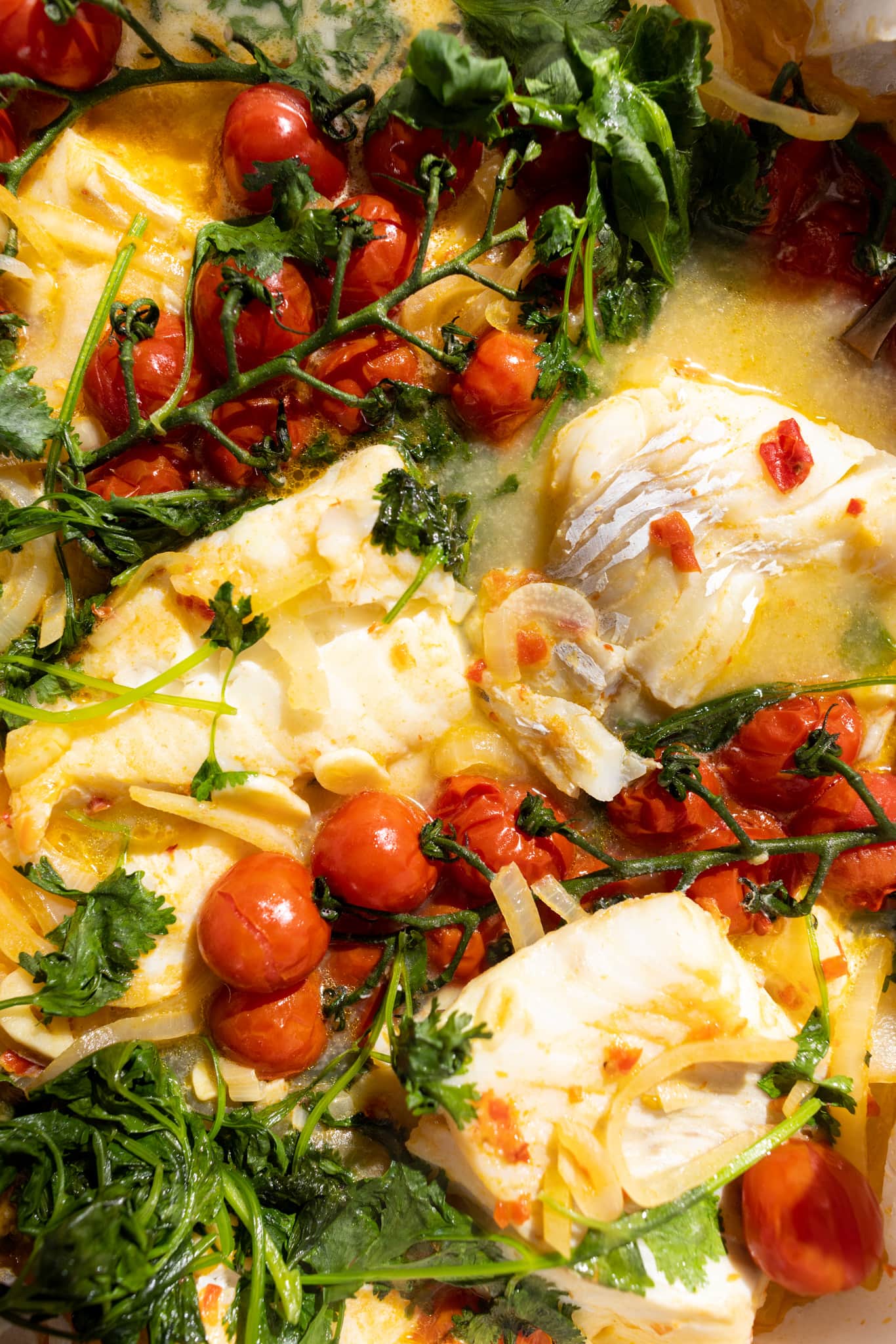 cooked coconut steamed fish with cherry tomatoes, onions,. garlic, cod, and cilantro
