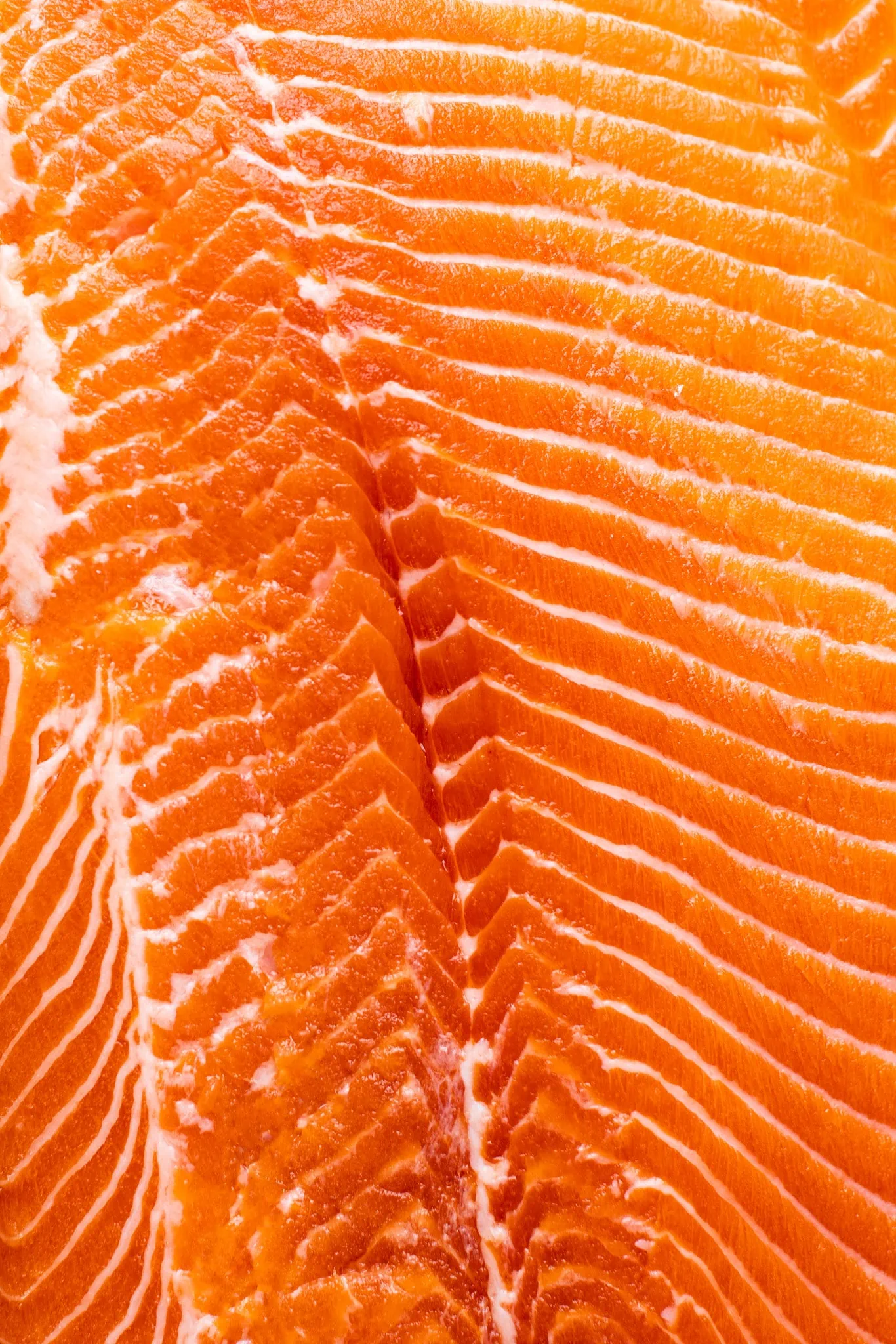 up close salmon