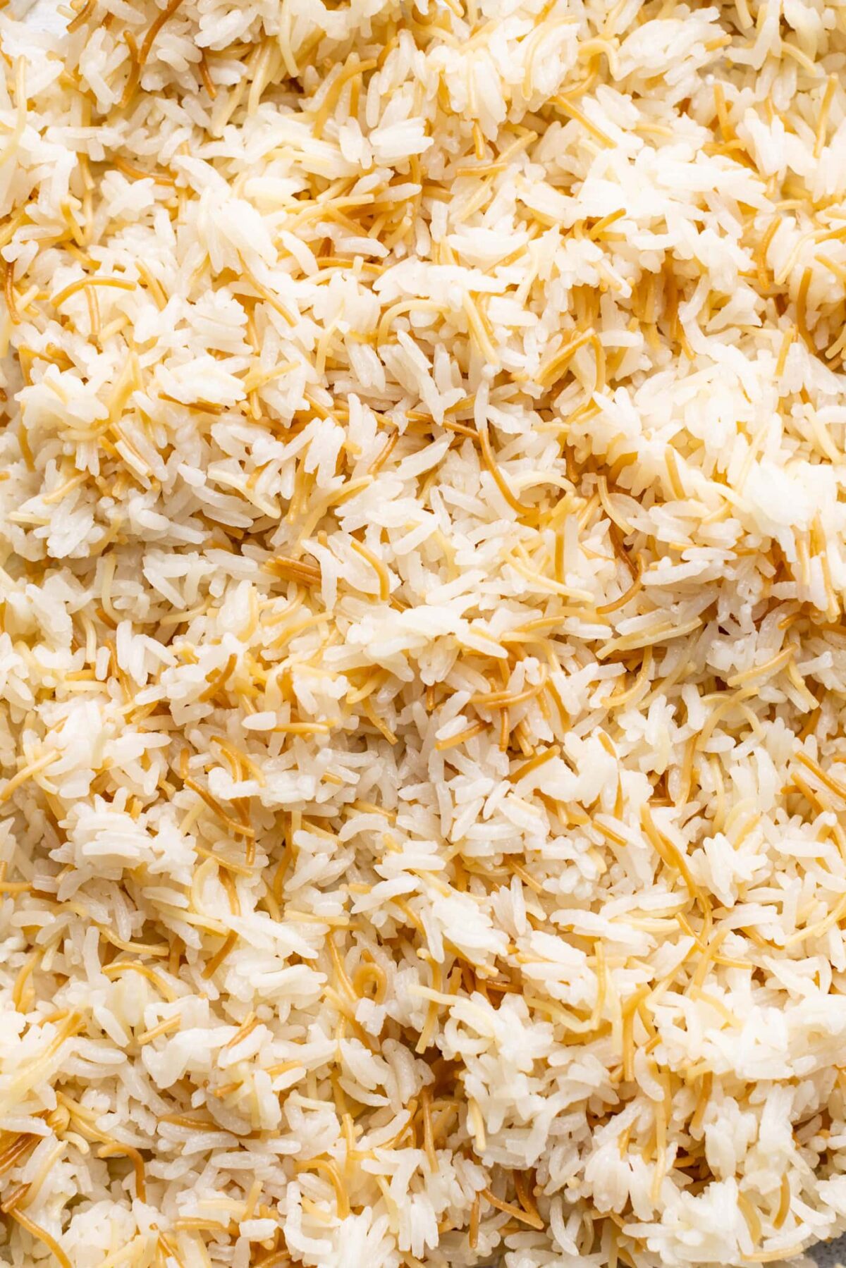 Vermicelli with Rice