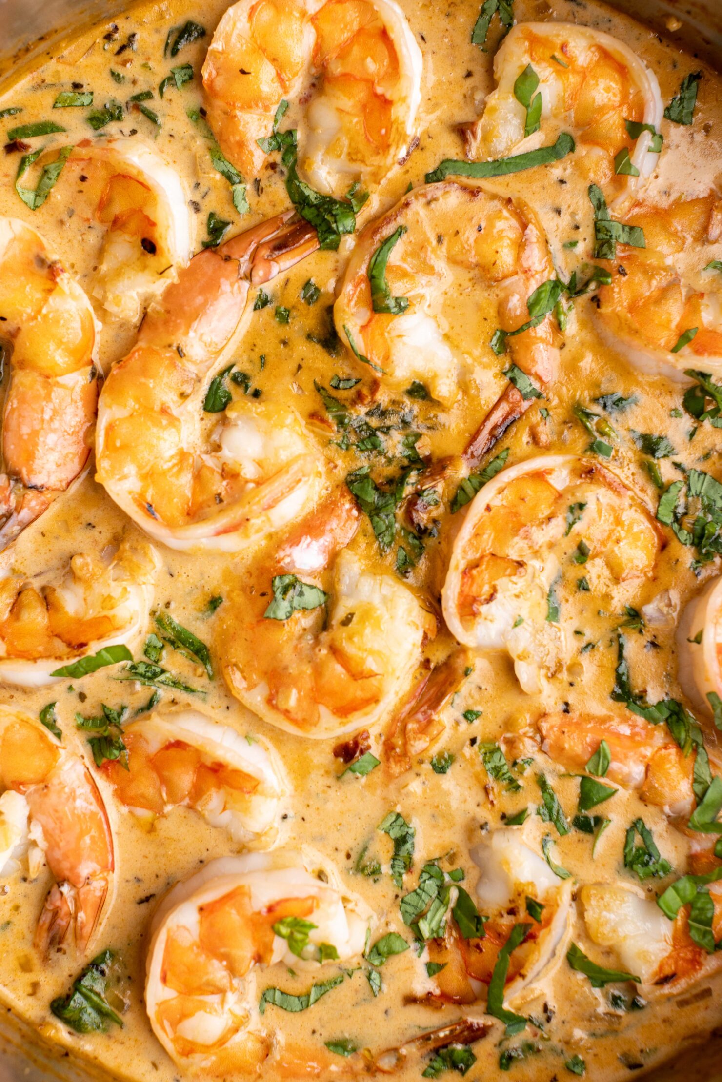 shrimp in sauce