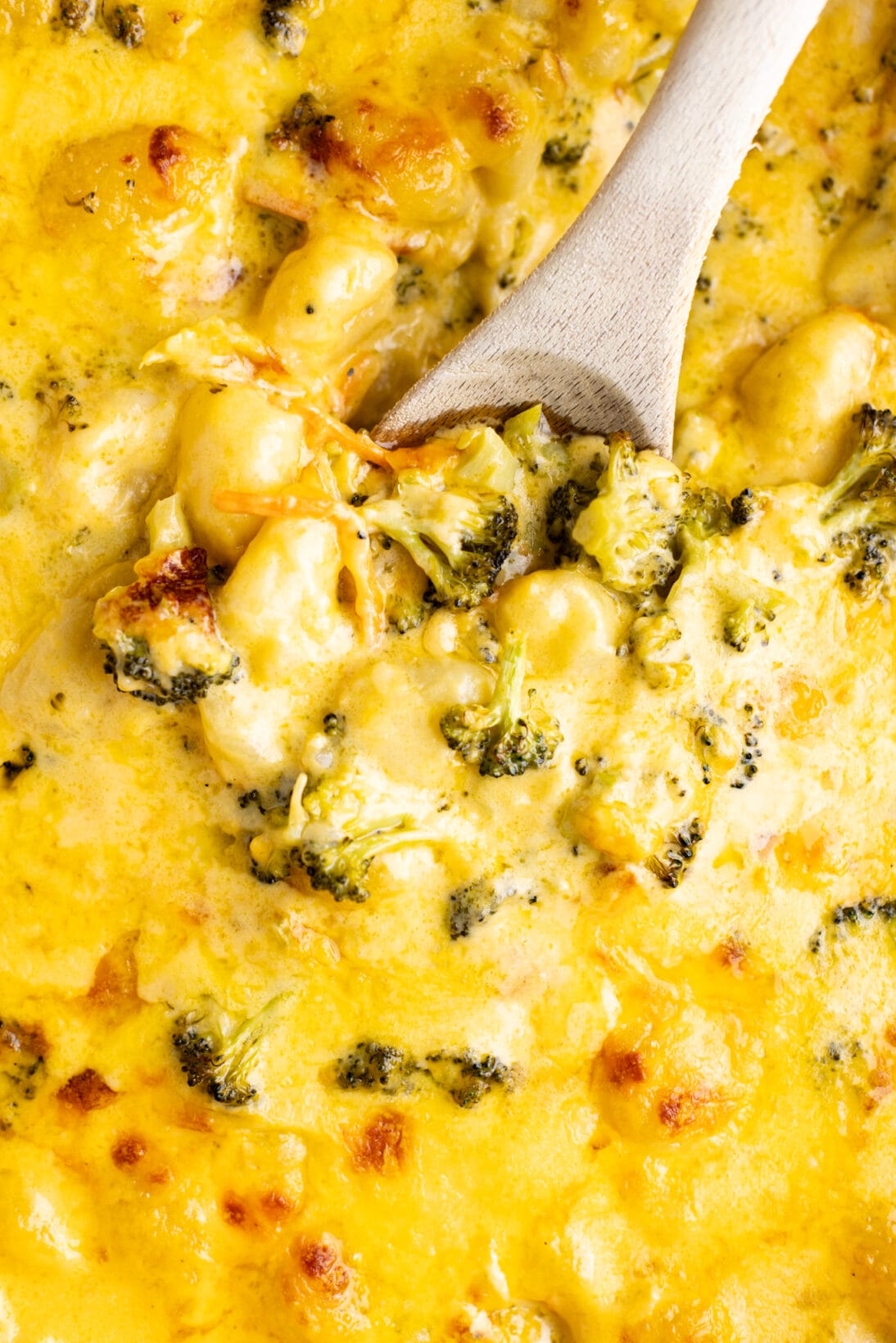 cooked broccoli cheddar gnocchi with bubbly cheese