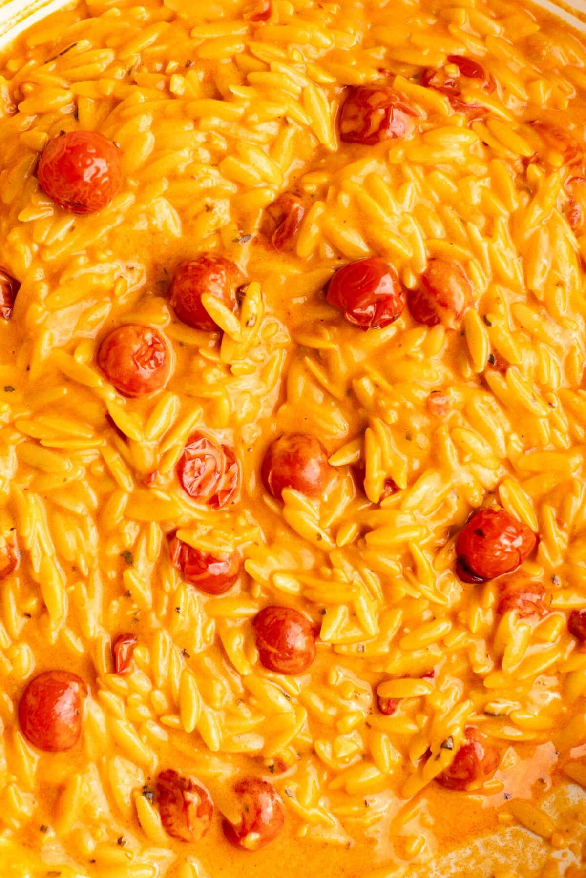 Spicy Calabrian Creamy Orzo