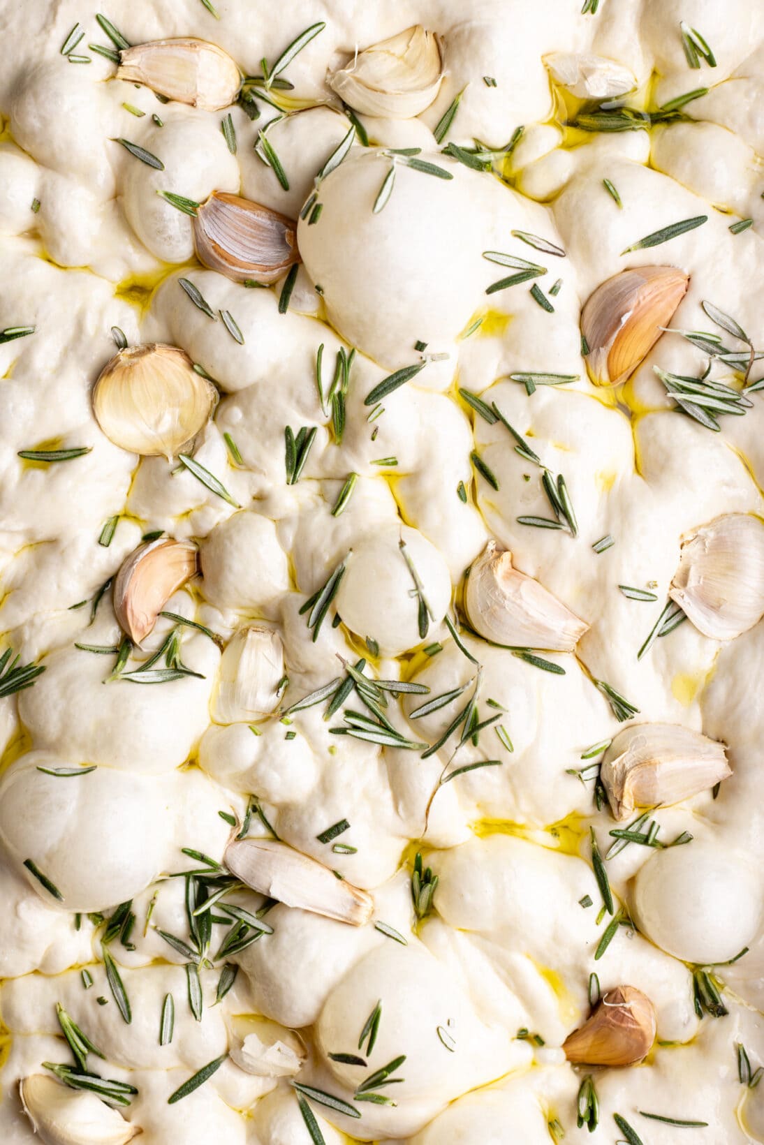 unbaked sourdough focaccia topped with rosemary and garlic cloves