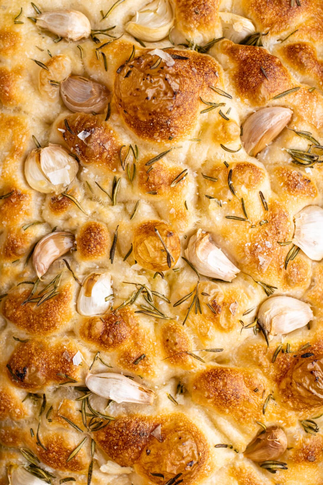 up close sourdough focaccia with rosemary and garlic cloves