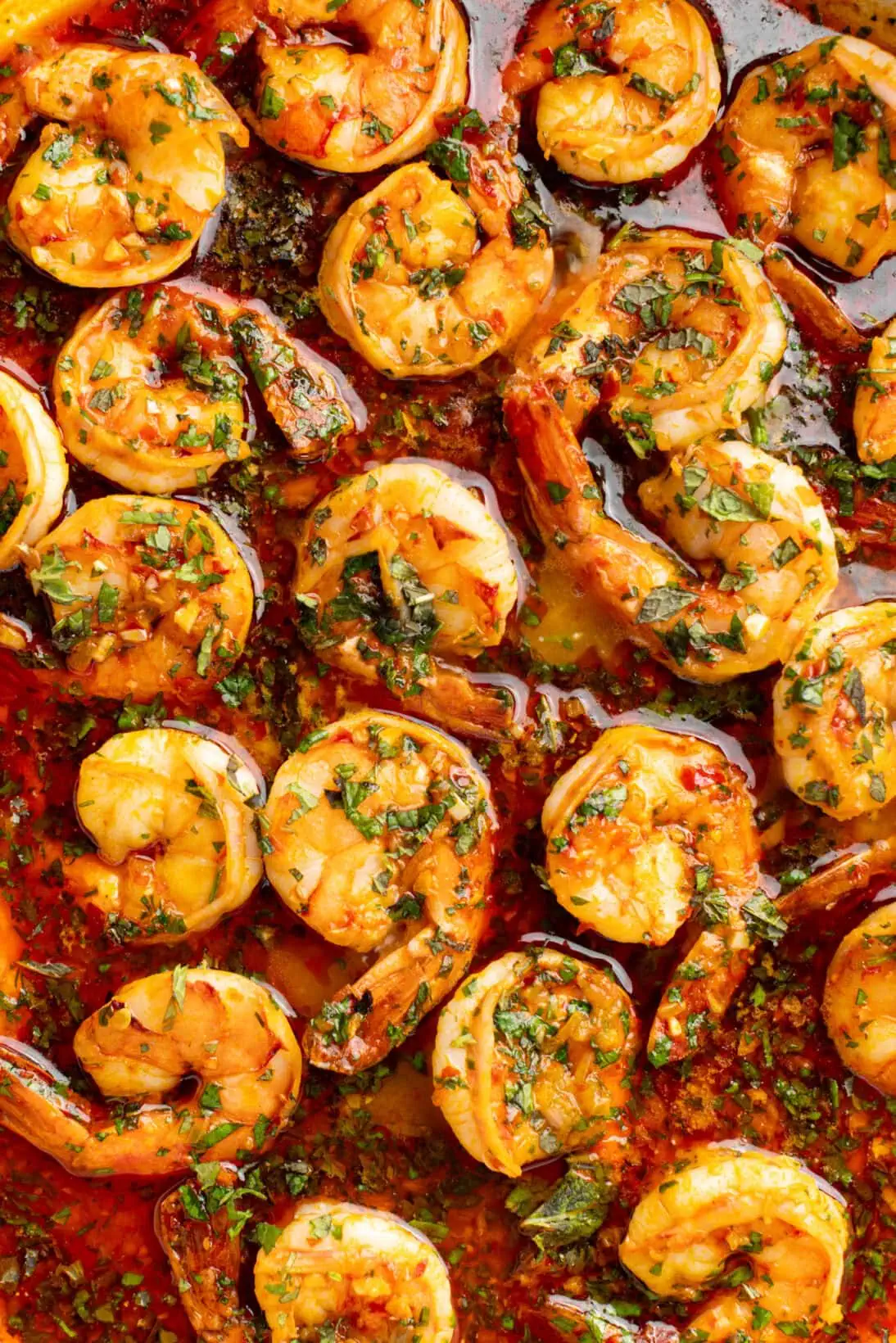 up close shot of pot of harissa shrimp swimming in the sauce