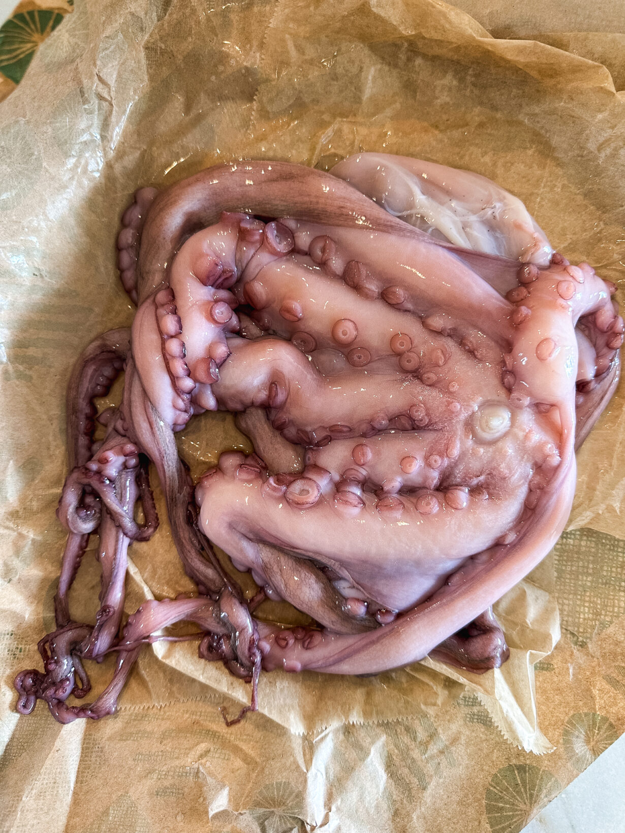 raw octopus on butchers paper