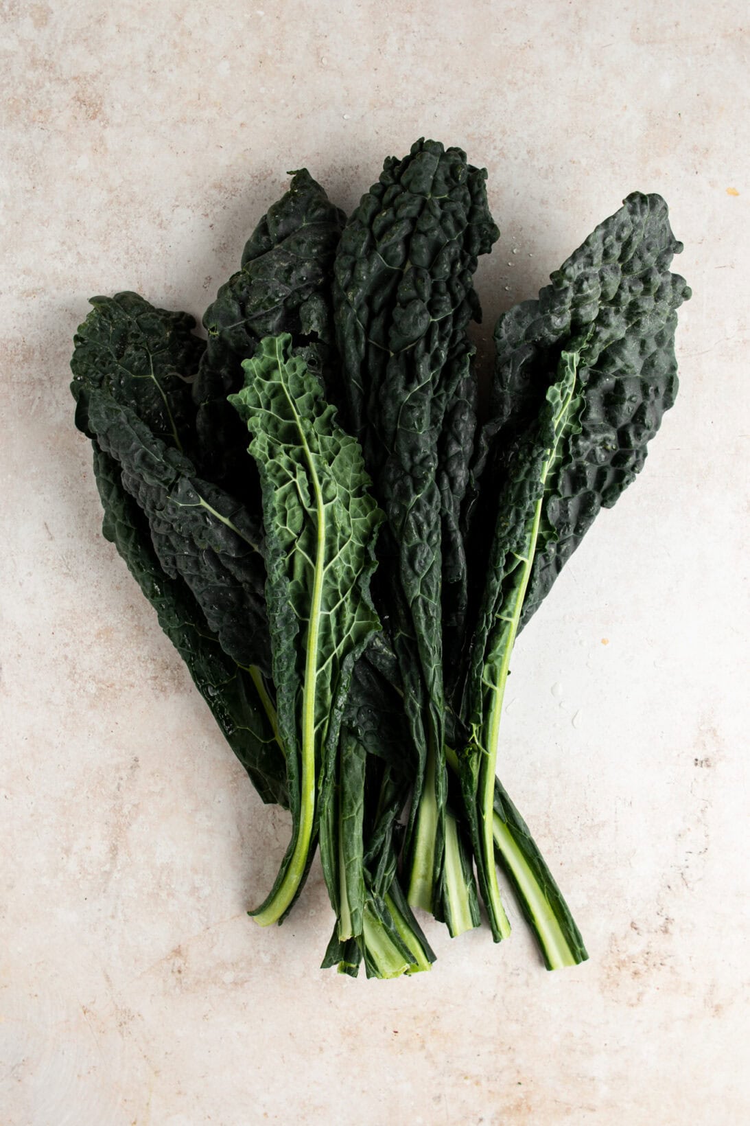 dino or lacinato kale