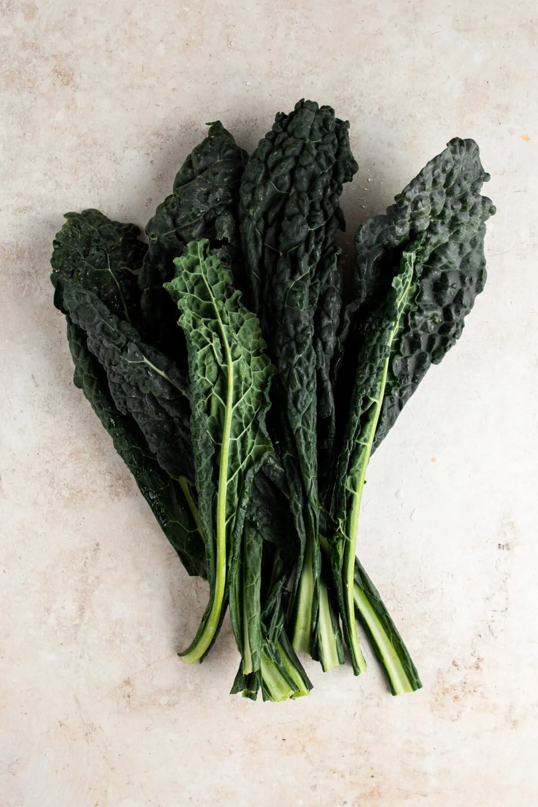 dino or lacinato kale