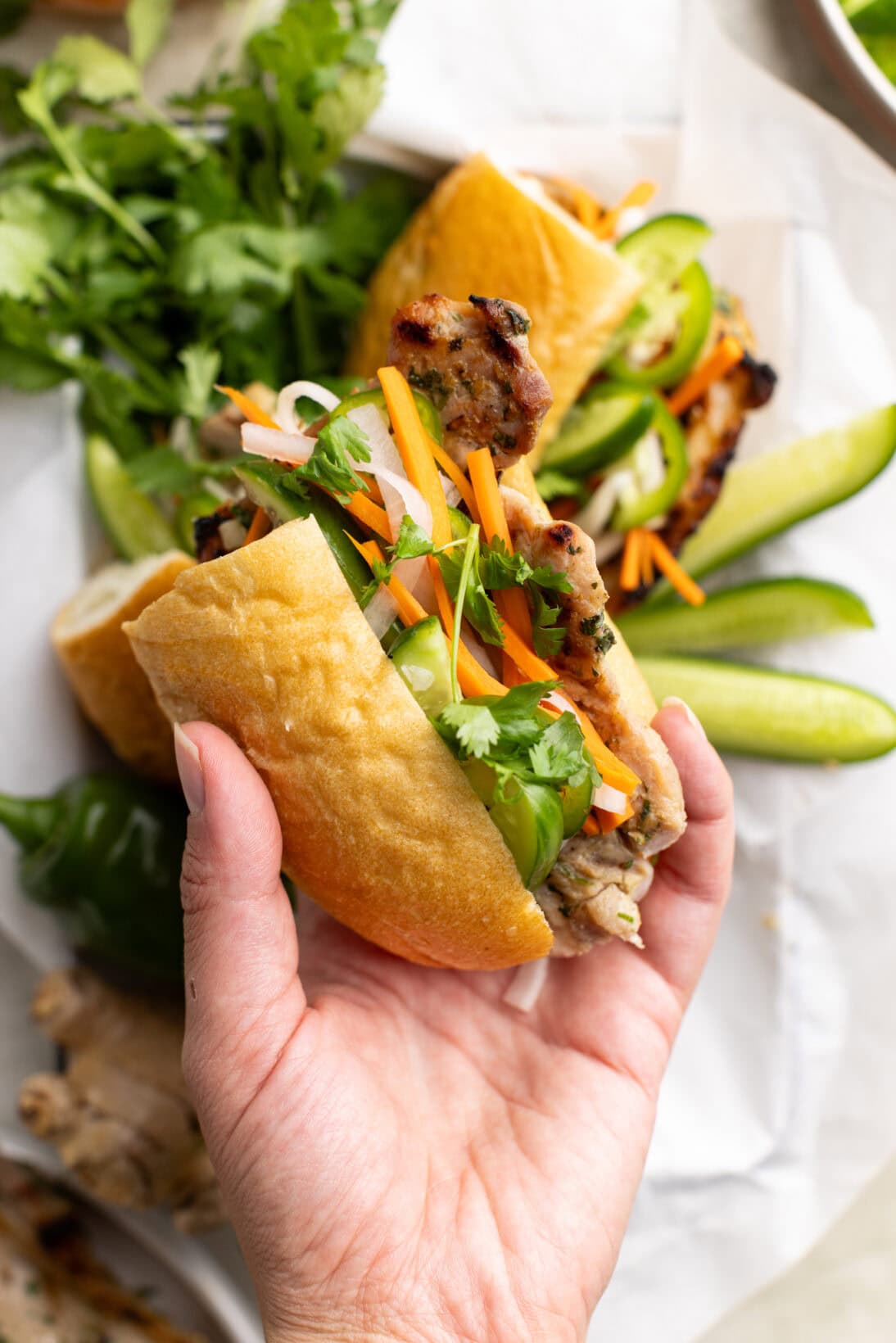 holding a pork banh mi sandwich