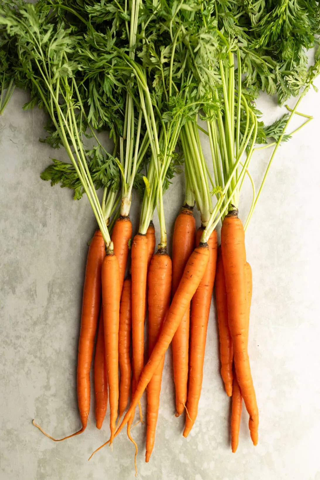 raw heirloom carrots