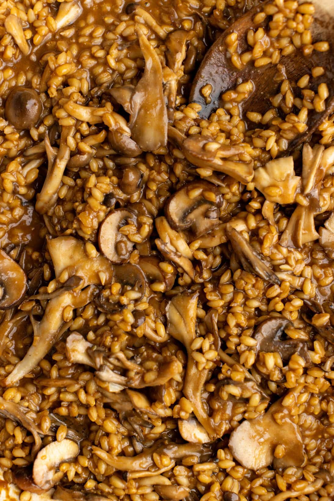 step by step: up close finished mushroom barley risotto