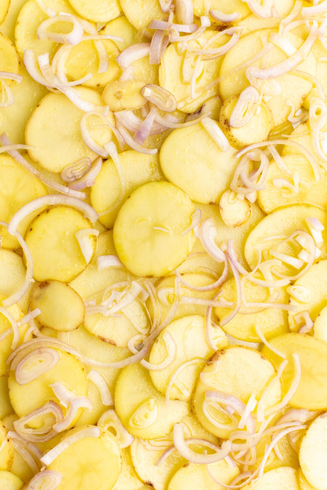 layered scalloped potatoes