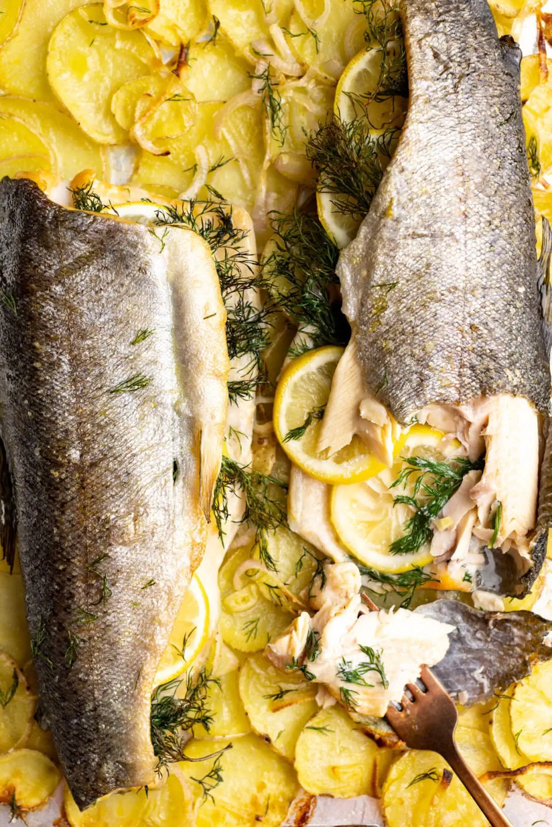 cooked lemon roasted trout over scalloped potatoes