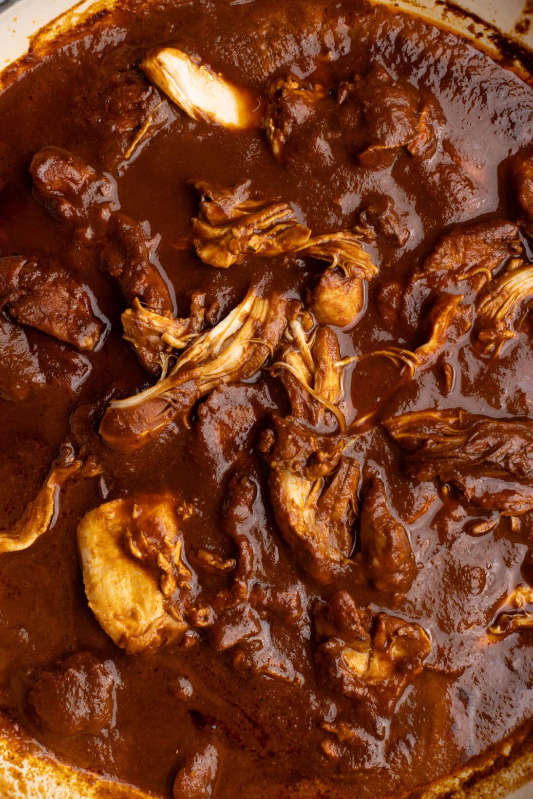 shredded chicken birria