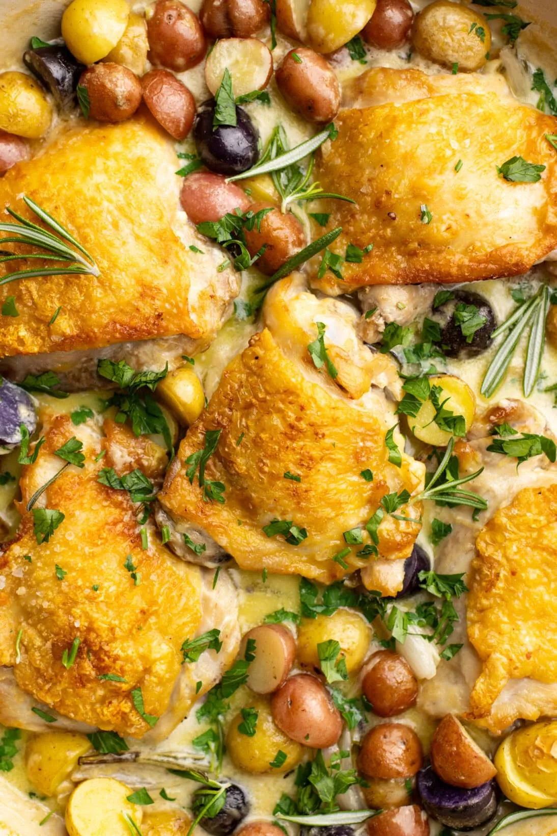 up close, creamy rosemary chicken thighs with crispy skin and tender potatoes.