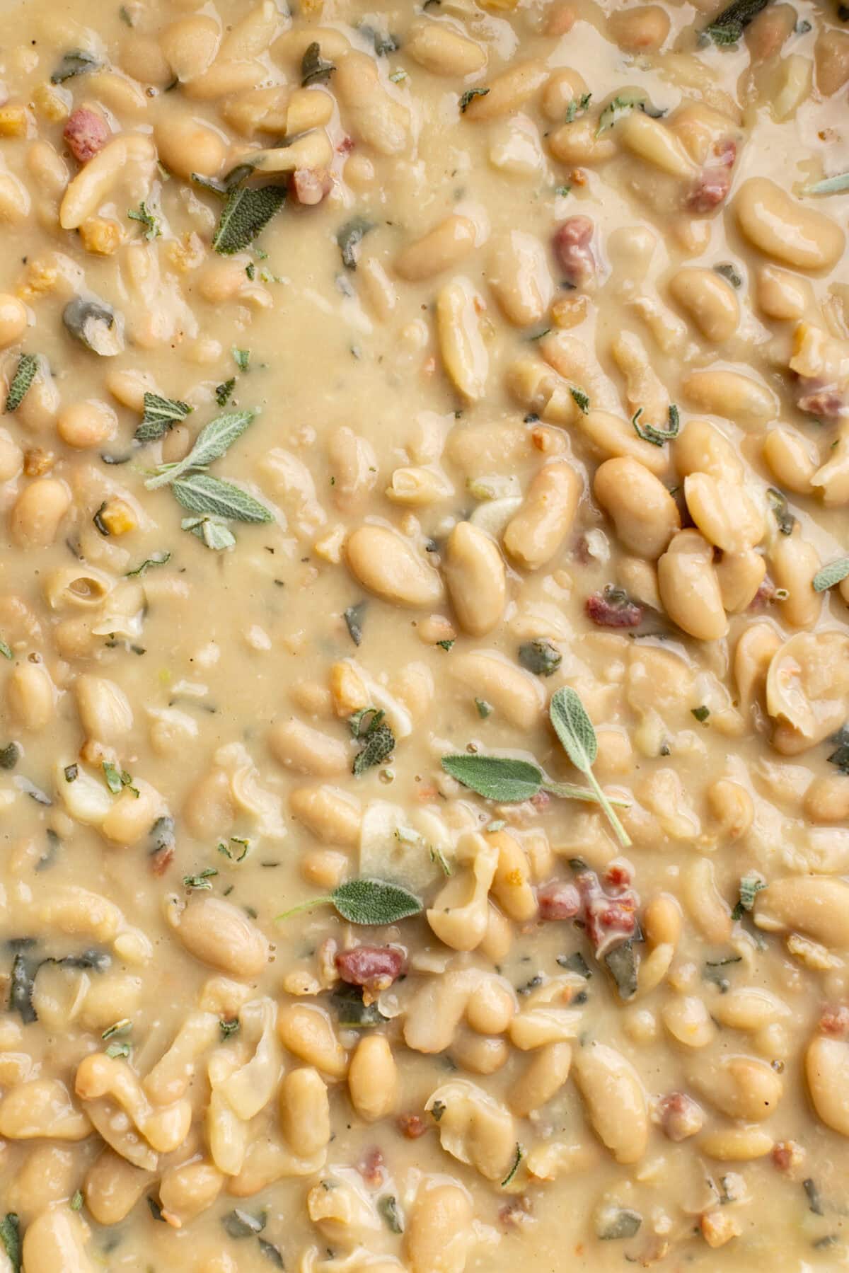 Creamy Beans With Prosciutto and Sage