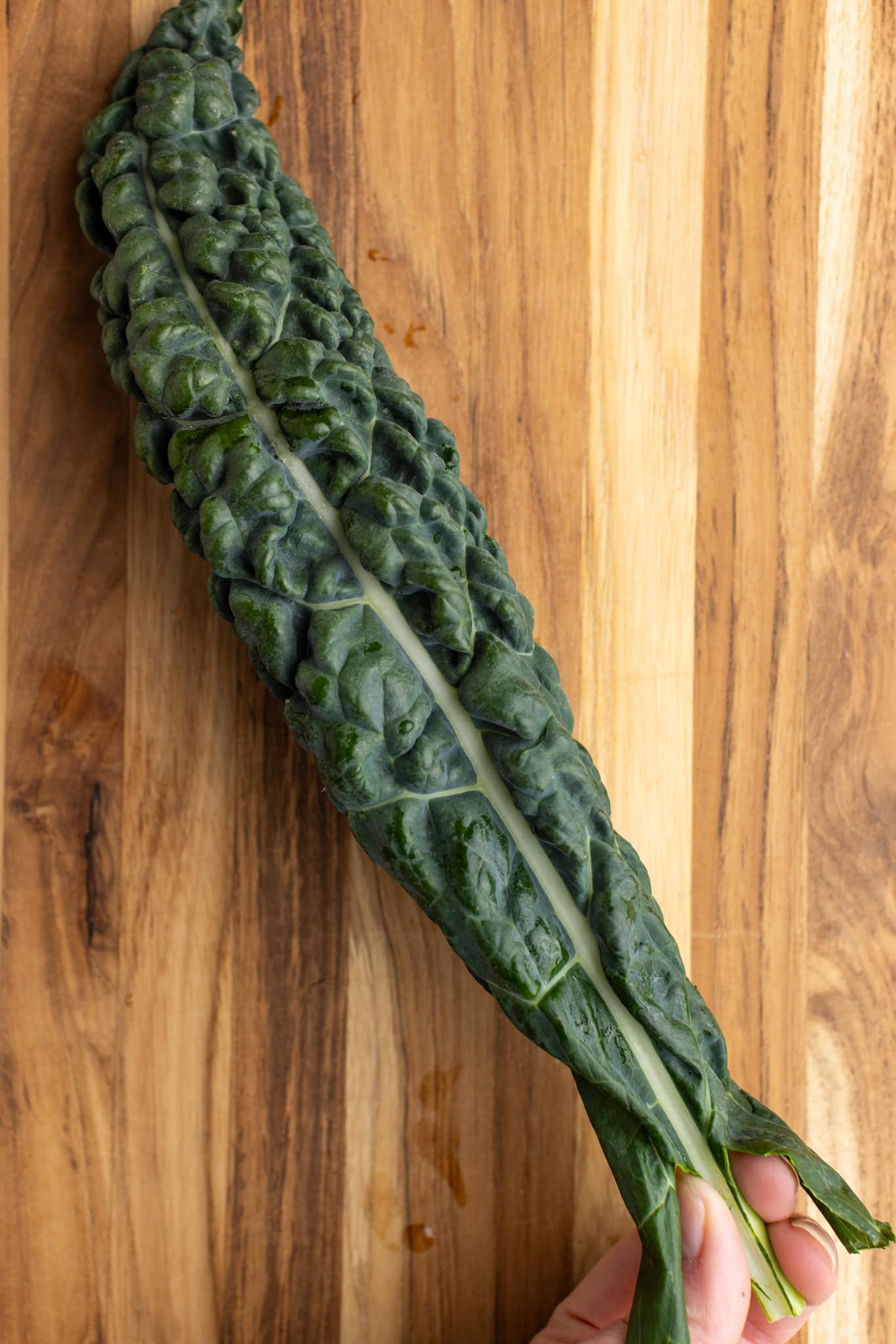 prep photos: de-stemming kale, seperating the leaves off the bottom.