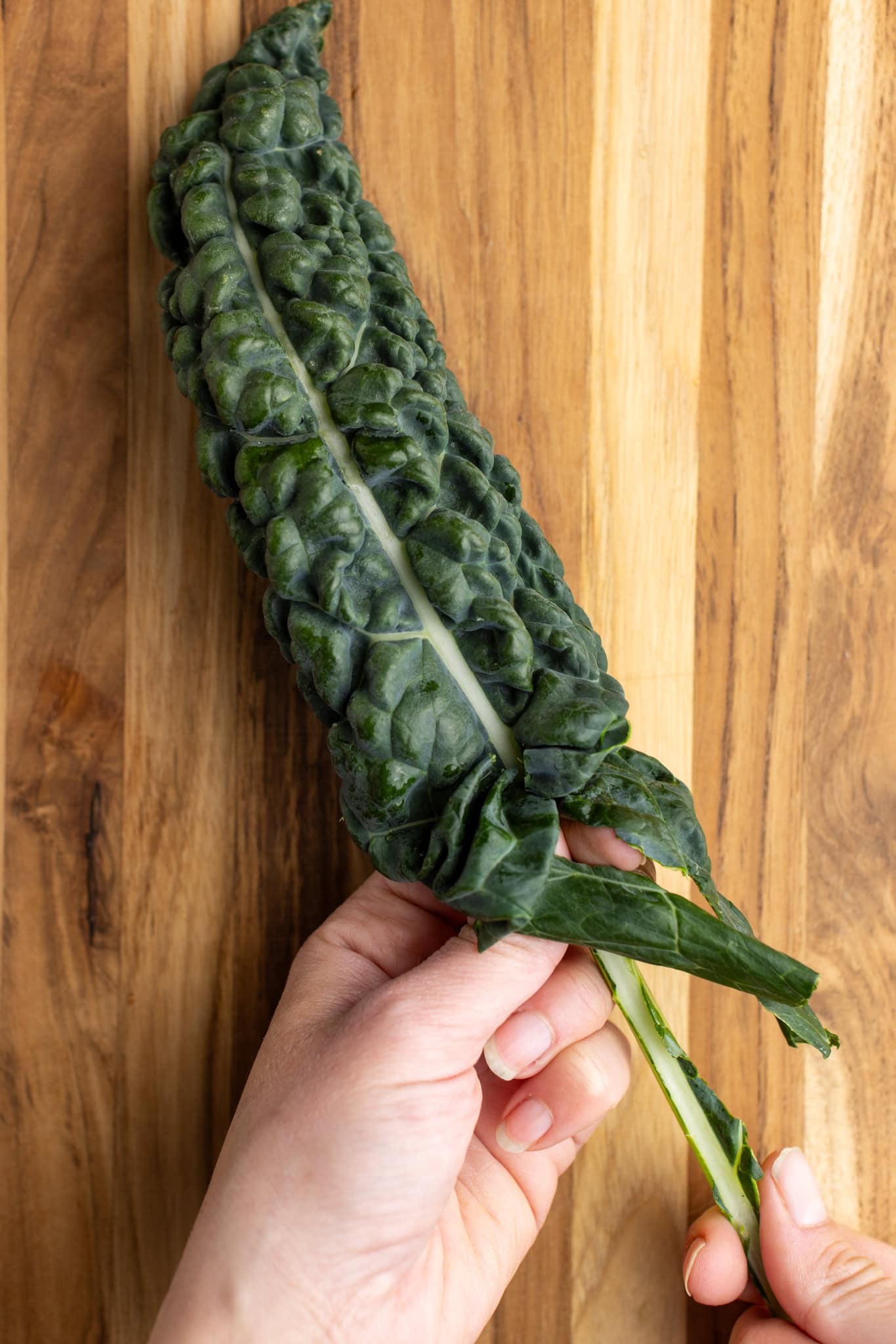 prep photos: de-stemming kale, pinching the stem and pulling up to detach the leaves from the stem.